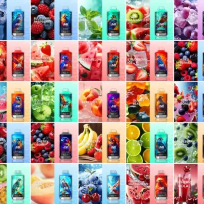 JNR Falcon X 18000 Puffs – flavour list, estvape EU wholesale