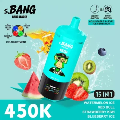Bang Leader 450k ( 450000 Puffs ) – Vape 450000 wholesale vape