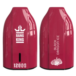 Bang King 12000 Puffs 12000 wholesale vape