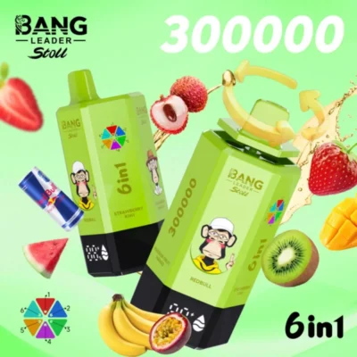 Bang Leader 300000 Puffs 300000 wholesale vape