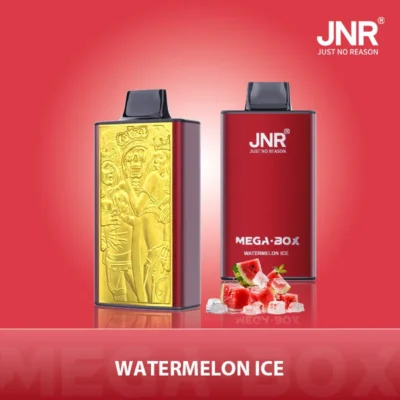JNR Mega Box 25000 Puffs - Disposable Vape 55000 wholesale vape
