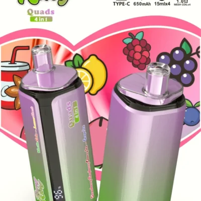 Bang King 250000 Puffs (250K) — 250,000 puffs, Einweg-Vape, Großhandel aus dem estvape EU-Lager, MOQ 10 Stk., Produktansicht 2