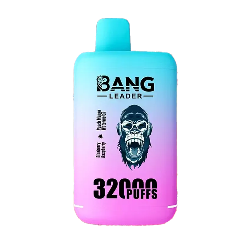 Bang Leader 32000 Puffs (32K) — 32,000 puffs, vape jetable, vente en gros depuis l'entrepôt UE estvape, MOQ 10 pièces