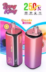 Bang King 250000 Puffs 250000 wholesale vape