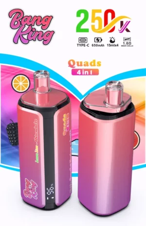 Bang King 250000 Puffs 250000 wholesale vape