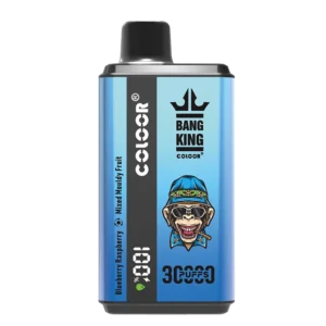Bang King 30000 Puffs 30000 wholesale vape