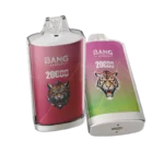 Bang Leader 20000 Puffs 20000 wholesale vape