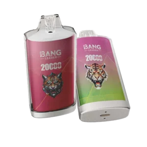 Bang Leader 20000 Puffs 20000 wholesale vape
