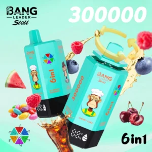 Bang Leader 300000 Puffs 300000 wholesale vape