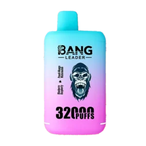 Bang Leader 32000 Puffs 32000 wholesale vape