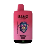 Bang Leader 45000 Puffs 45000 wholesale vape