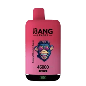 Bang Leader 45000 Puffs 45000 wholesale vape