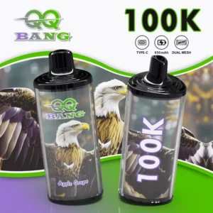 Bang QQ 100000 Puffs 100000 wholesale vape