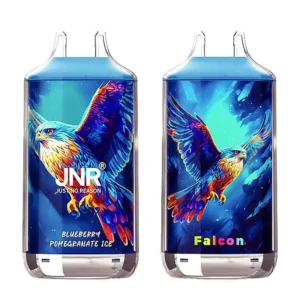 JNR Shisha 15000 15000 wholesale vape