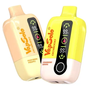 Vapsolo DG 18000 Puffs – Vape 18000 wholesale vape