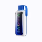 VOZOL Star 20000 Puffs 20000 wholesale vape